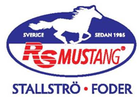 RS-Mustang1.JPG