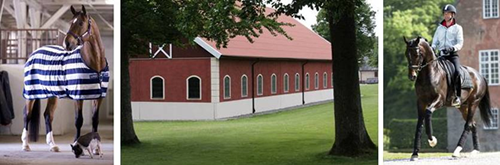 Anläggning